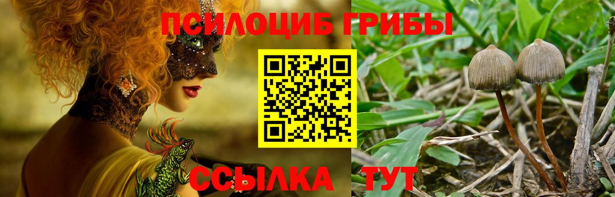 Галлюциногенные грибы GOLDEN TEACHER  Галлюциногенные грибы прущие грибы  Будённовск 
